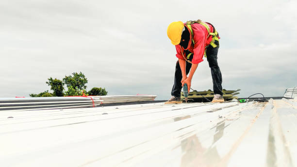 Reliable Freeport, FL  Roofing repair and installation Solutions